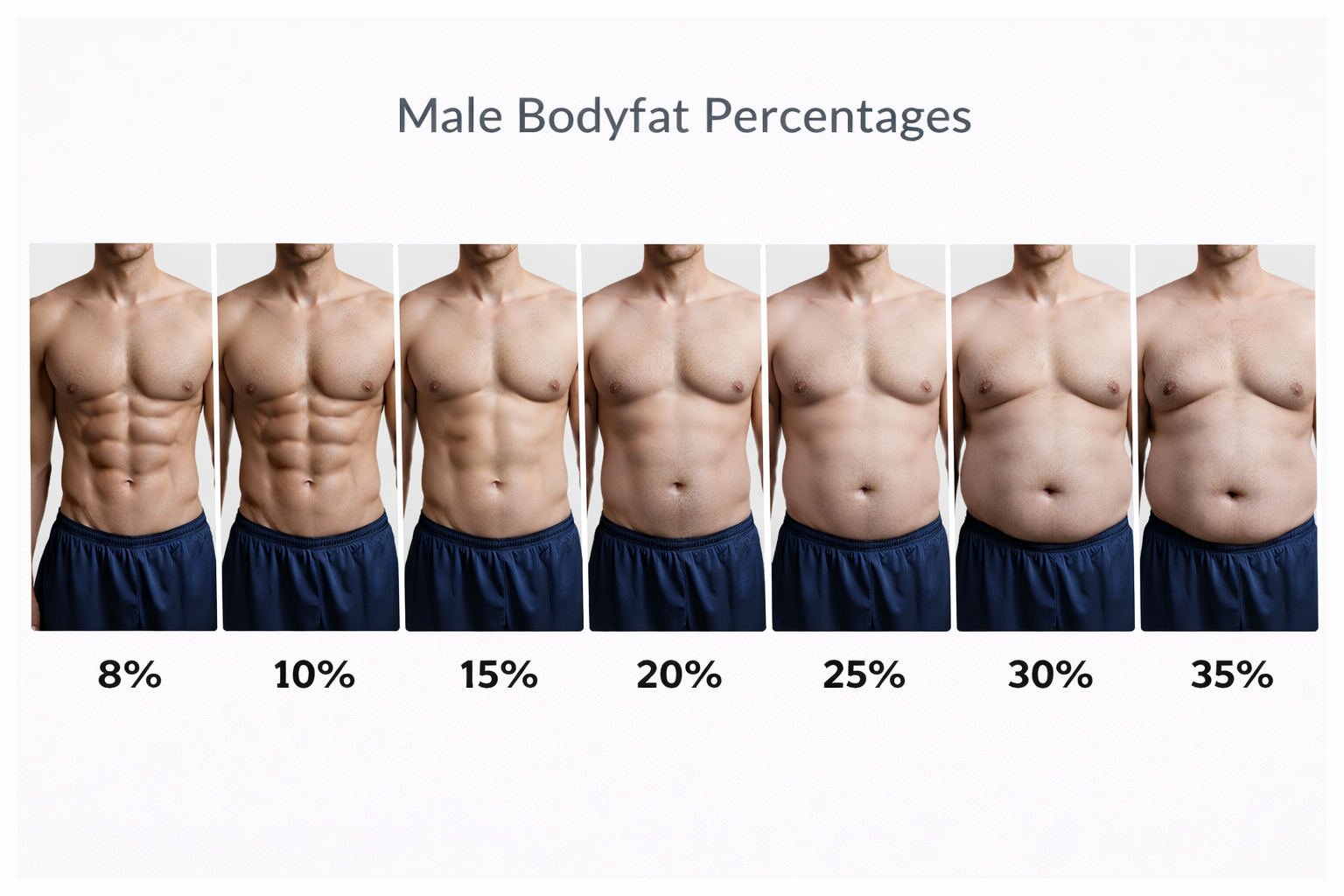 Male Bodyfat Percentages